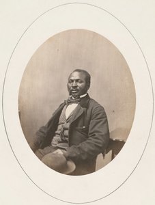 Portræt af mennesket, Harvard University
