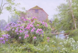 Rhododendron ved en vandmølle