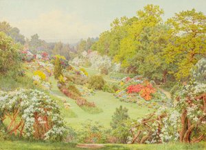 Forårsblomster (akvarel)
