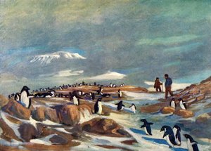 Penguins tilbagevenden, c1908, 1909.