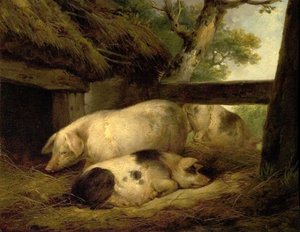 Studie af svin af George Morland