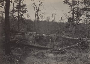 Battle Field of New Hope Church, Georgia nr. 2, 1860