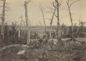 Slagmarken ved Resaca, Georgia, nr. 3,1864 (foto) af George N. Barnard