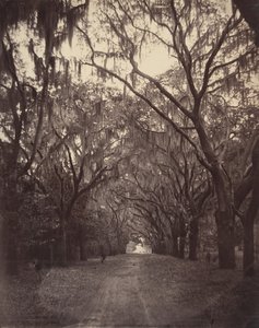 Bonaventure Cemetery, Four Miles from Savannah, 1866. af George N. Barnard