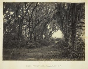 Buen-Ventura Savannah, Ga. af George N. Barnard