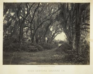 Buen-Ventura Savannah, Ga., 1866. af George N. Barnard