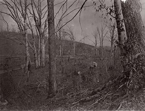 Bull Run, Virginia, 1861-62. af George N. Barnard