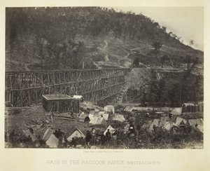 Pass i Raccoon Range, Whiteside nr. 1 af George N. Barnard