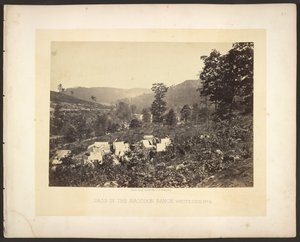 Passet i Raccoon Range, Whiteside nr. 2 af George N. Barnard
