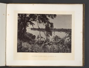 Savannah-floden, nær Savannah, Georgia af George N. Barnard