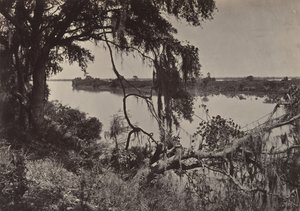 Savannah River, nær Savannah, Georgia, 1860