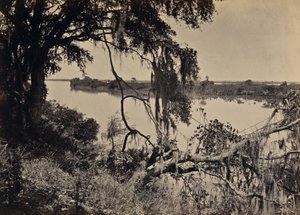 [Savannahfloden, nær Savannah, Georgia] af George N. Barnard