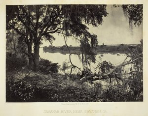 Savannah River, nær Savannah, GA, 1866. af George N. Barnard