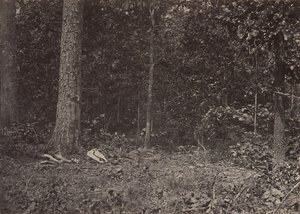 Scene for General McPhersons død, 1864 eller 1866. af George N. Barnard