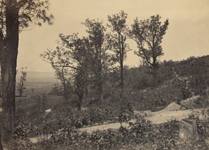 Højderyggen ved Mission Ridge af George N. Barnard