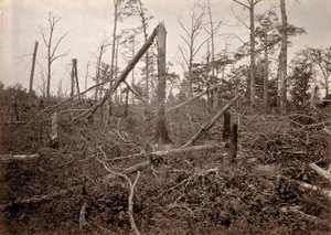 "Helvedeshullet", New Hope Church, Georgia, fra Photographic Views of Sherman