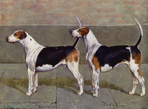 Puckeridge Foxhounds Colonist og Cardinal af George Paice