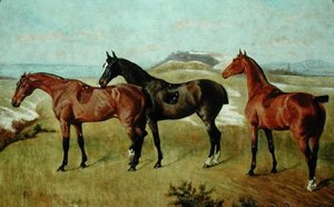 Tre heste: Whissendine, Swallow og Tiptop af George Paice