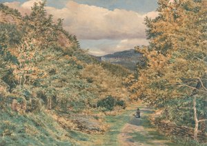 En vej nær Bettws-y-Coed af George Price Boyce