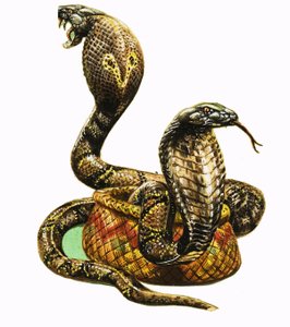 King Cobras af George R. Radcliffe