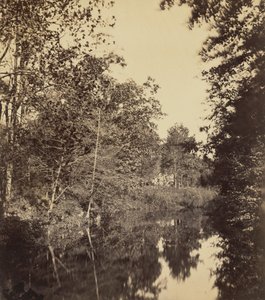 The Dell,1863 (foto) af George Rockwood Gardner