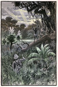Illustration af George Roux til Jules Vernes bog "The Aerien Village" (1901), Hetzel edition/Extraordinary Voyages, Known and Unknown Worlds. Udsigt over en afrikansk skov (Congo). af George Roux