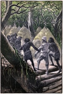 Illustration af George Roux til Jules Vernes bog "The Aerien Village" (1901), Hetzel edition/Extraordinary Voyages, Known and Unknown Worlds. De opdagelsesrejsendes ankomst til landsbyen, der ligger i Wagddis-træerne (aber i den congolesiske skov). af George Roux
