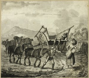 Giles Dolt