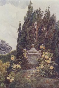 Glory of Dijon, Penshurst af George Samuel Elgood