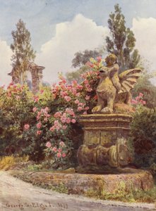 Italienske haver: Kina-roser, Villa Imperiali (farvelitografi) af George Samuel Elgood
