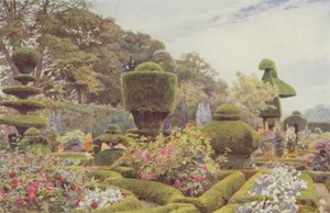 Levens, Roses og Pinks af George Samuel Elgood