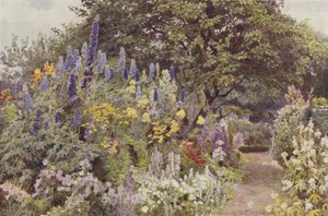 Ramscliffe, Larkspur