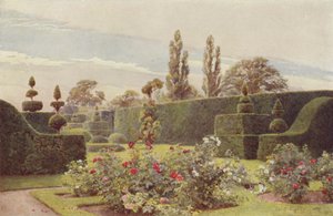Rosenhaven, Arley af George Samuel Elgood