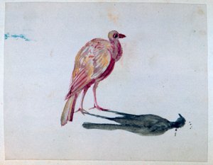 Fugl, 1820-1876 af George Sand