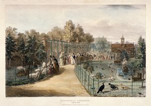 Zoologisk have, Regent