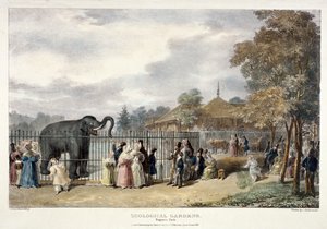 Zoologisk have, Regent