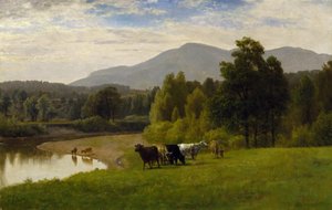 Græsmarker, 1867 (olie på papir om bord)