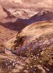 Alpine blomster (akvarel på papir) af George Soper