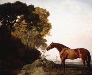 En bugt-araber i et kystlandskab, 1779 af George Stubbs