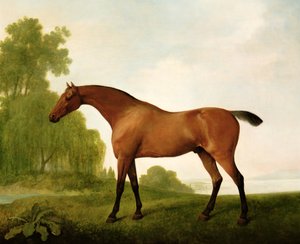 En bugt fuldblod i et landskab af George Stubbs