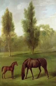 En kastanjehoppe og føl i et skovklædt landskab, ca. 1761-63 (olie på lærred) af George Stubbs