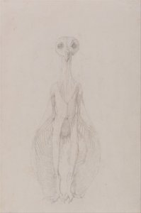 En sammenlignende anatomisk udstilling af menneskekroppens struktur med en tiger og en almindelig høne: Ugle stående, set forfra af George Stubbs