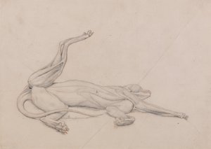 En sammenlignende anatomisk fremstilling af menneskekroppens opbygning med en tiger og en almindelig høne: Tiger, liggende, set ventralt af George Stubbs