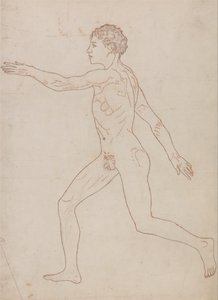 En sammenlignende anatomisk udstilling af menneskekroppens struktur med en tiger og en almindelig høne: Menneskefigur, set fra siden (oversigtsstudie på bagsiden af tabel VIII) af George Stubbs