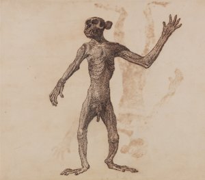 En sammenlignende anatomisk fremstilling af menneskekroppens struktur med tigerens og den almindelige hønsefugls:  Abe stående, set forfra af George Stubbs