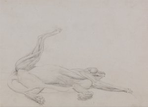 En sammenlignende anatomisk fremstilling af menneskekroppens struktur med en tiger og en almindelig hønsefugl:  Tigerens krop, liggende, set ventralt af George Stubbs