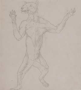 En sammenlignende anatomisk fremstilling af menneskekroppens struktur med tigerens og den almindelige hønsefugls:  Tigerens krop, stående i menneskelig stilling af George Stubbs