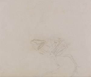 En sammenlignende anatomisk fremstilling af menneskekroppens struktur med en tiger og en almindelig høne:  Dorking Hen Body, Lateral View (Undersøgelse af kroppens og lemmernes muskler på et senere stadie af dissektionen) af George Stubbs
