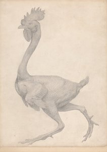En sammenlignende anatomisk udstilling af menneskekroppens struktur med en tiger og en almindelig høne: Hønsefugl, set fra siden med de fleste fjer fjernet (færdigt studie til tabel X) af George Stubbs