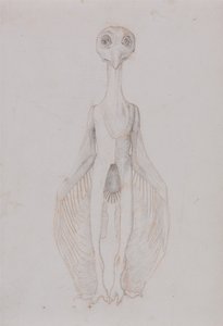 En sammenlignende anatomisk fremstilling af menneskekroppens struktur med en tiger og en almindelig høne:  Ugle stående, set forfra af George Stubbs